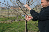 FELCO 8 ERGONOMIC SWISS MADE ONE-HAND HIGH PERFORMANCE PRUNING SHEAR / SECATEURS