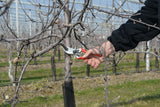 FELCO 2 CLASSIC SWISS MADE PRUNING SHEAR / SECATEURS + HOLSTER + SHARPENER