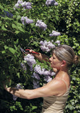 Felco 3224431 Large Economy Secateurs Essential - Multi-Colour